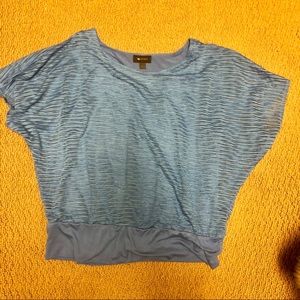 Blue striped dolman sleeve banded waist top